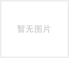 永康牌YK-CO一氧化碳报警器